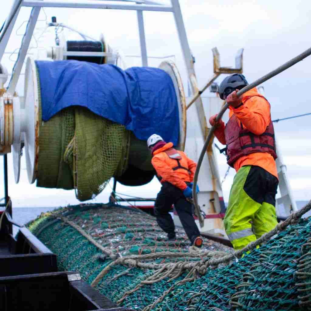 Deep-sea Fishermen