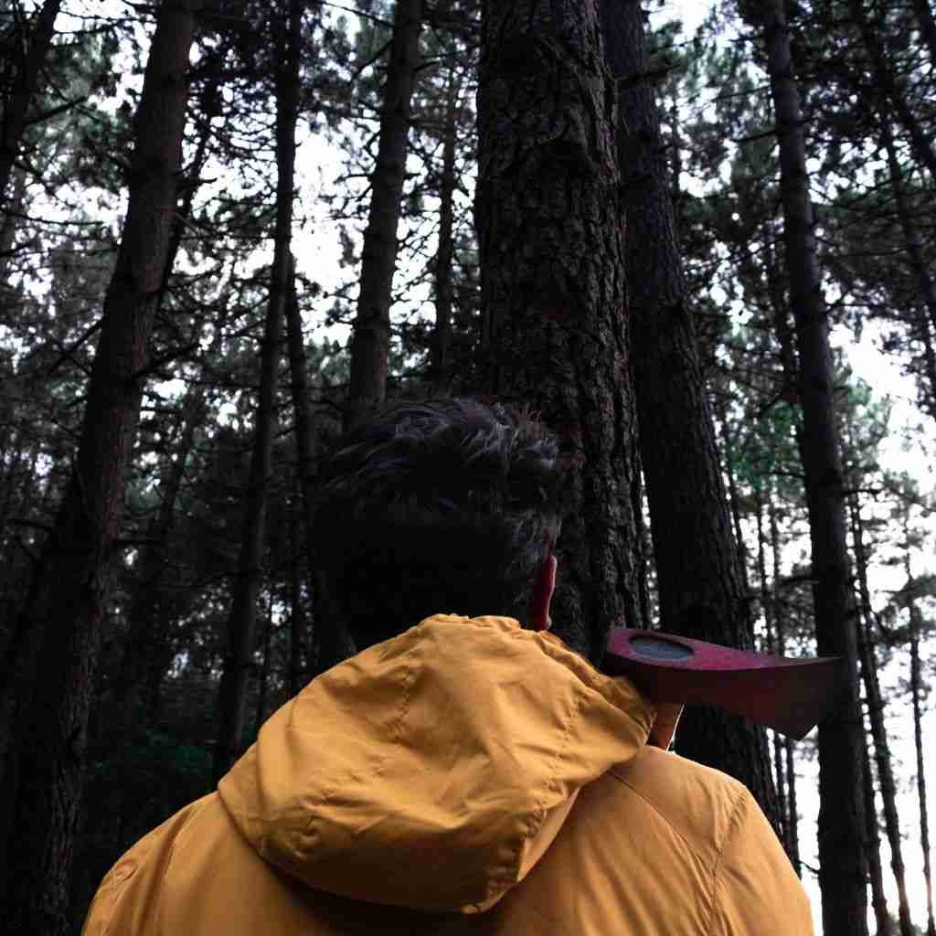 Lumberjack Work More than Just Felling Trees