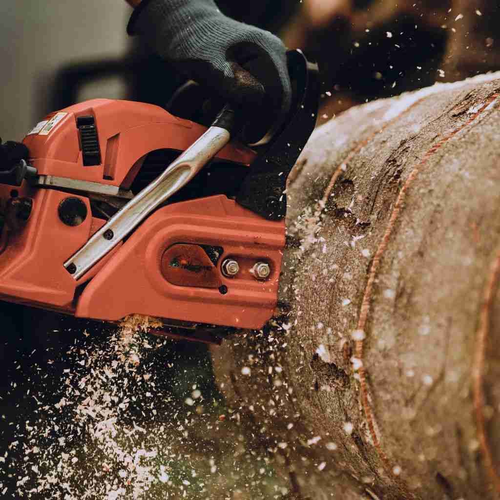Regions with High Labor Demand for Lumberjacks​