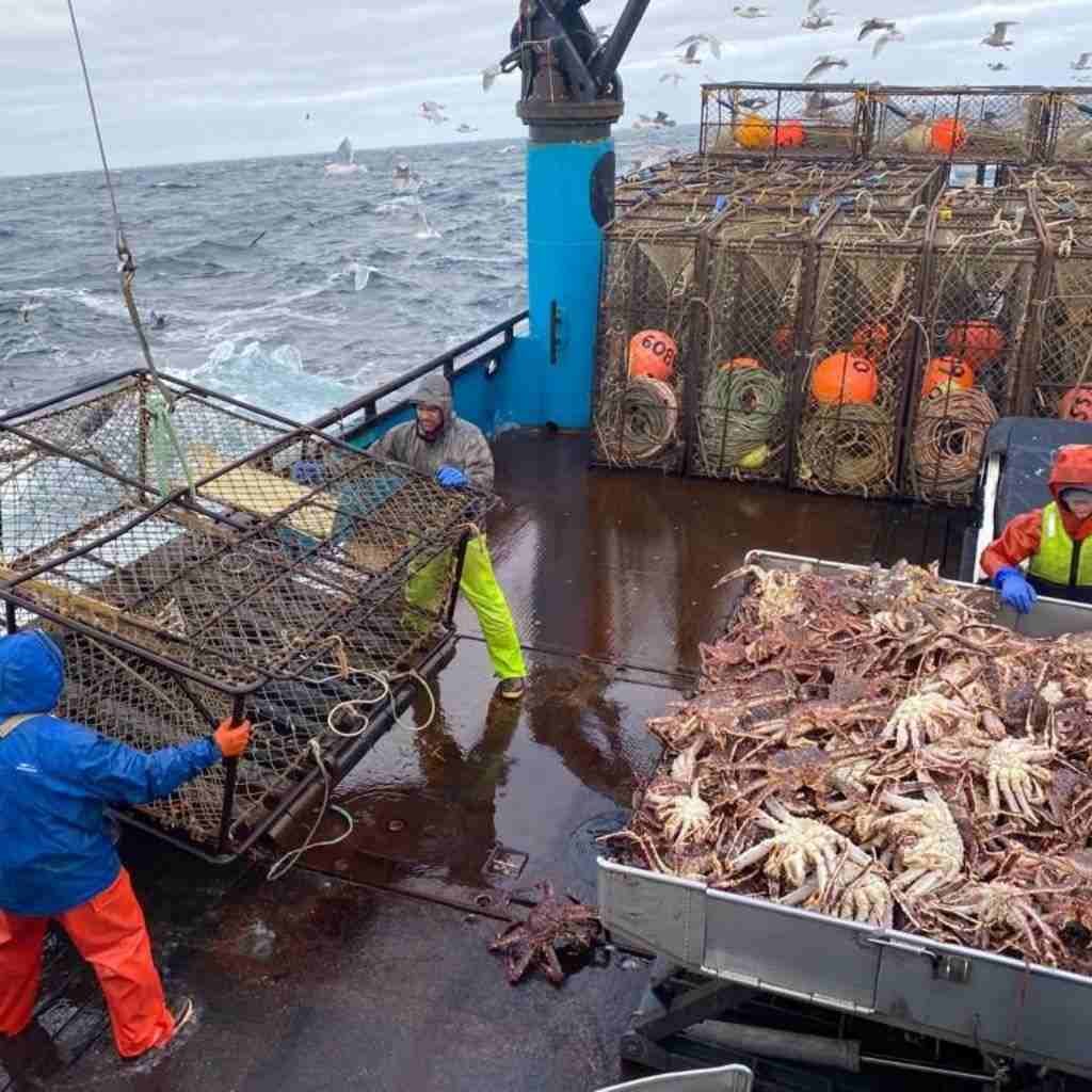 fishing or maritime jobs